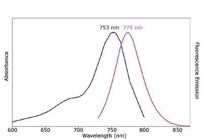 Absorbance and Fluorescence Emission