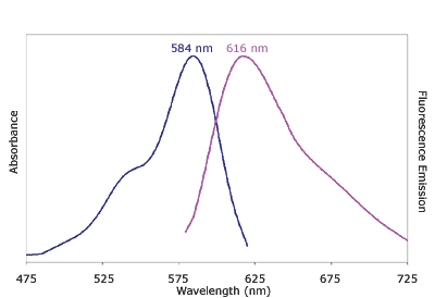 Absorbance and Fluorescence Emission